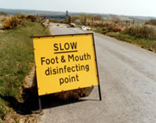 Photo of a Foot and Mouth disinfecting point sign